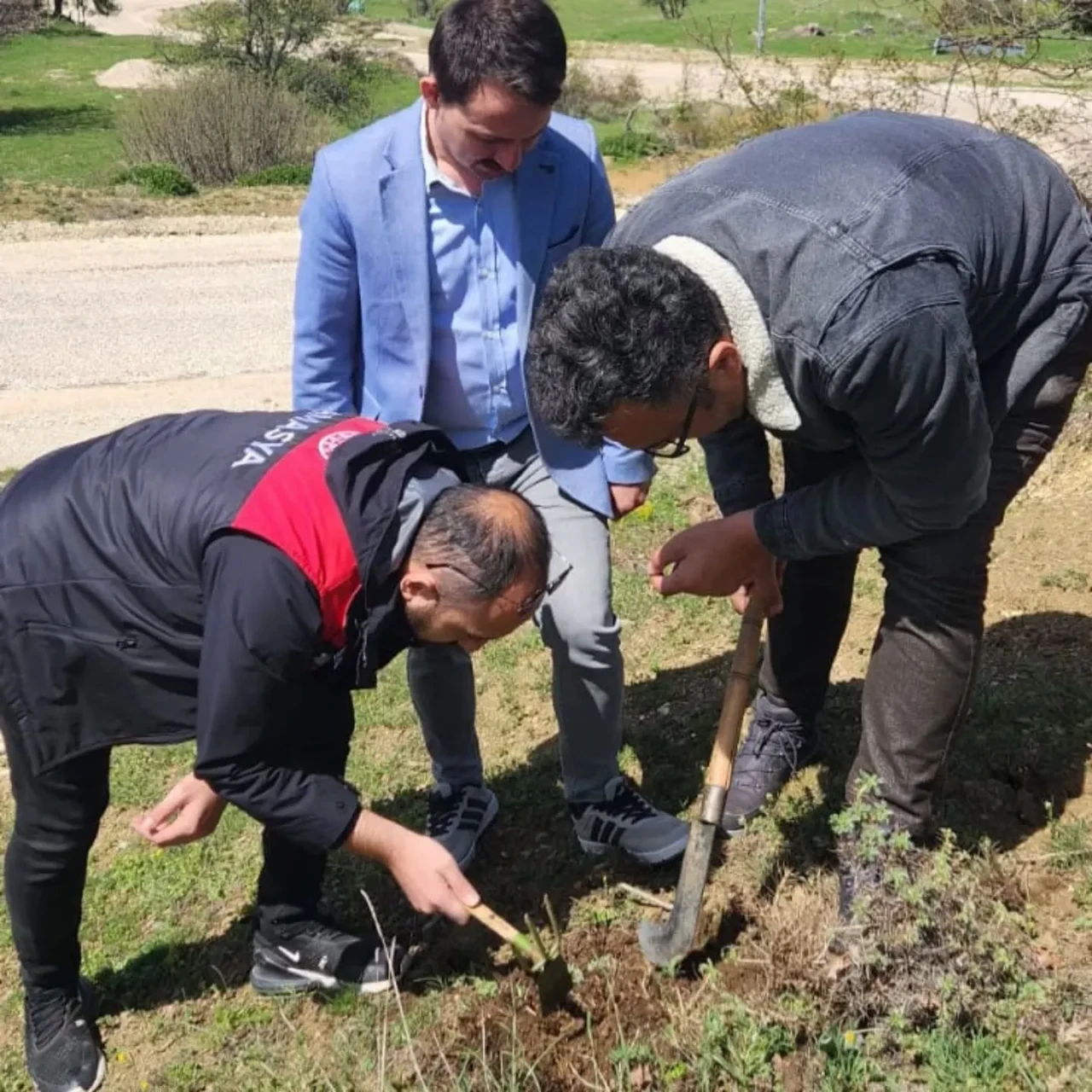 Amasya’da Süne Zararlısına Karşı Kışlak Surveyi Çalışmaları Sürüyor