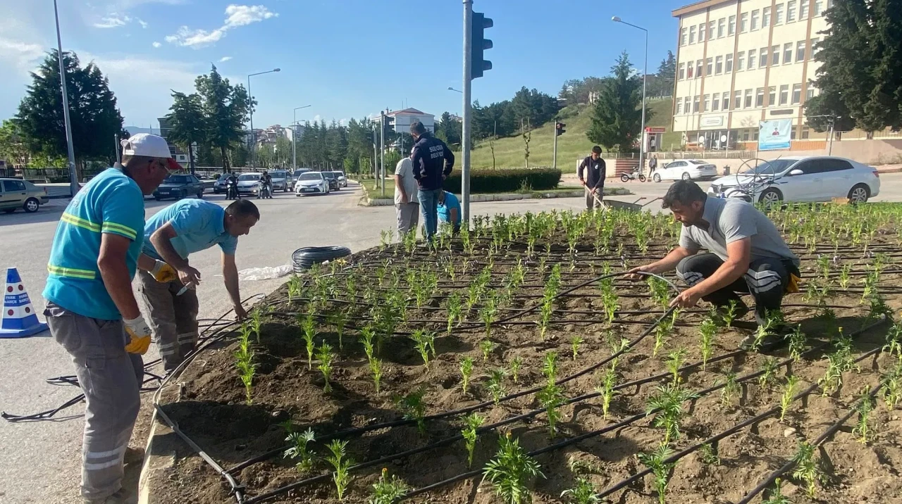 Suluova Belediyesi’nden Lise Kavşağı’na Renkli Dokunuş