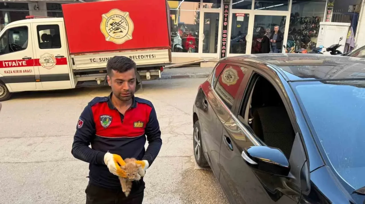Otomobilin motor kısmına giren yavru kediyi itfaiye kurtardı