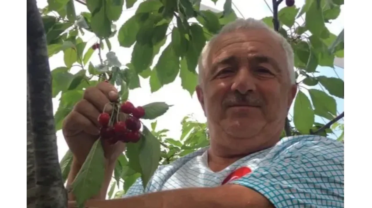Elektrik akımına kapıldı, hayatını kaybetti