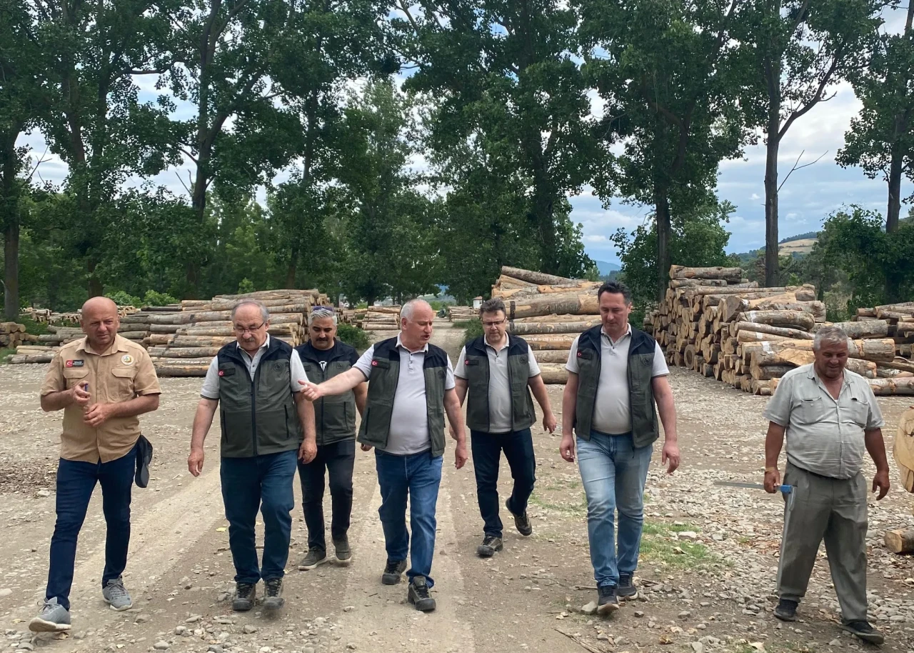 Bafra’da Orman Emvali Depolarında Sıkı Denetim: Üretimde Kalite ve Katma Değer Vurgusu