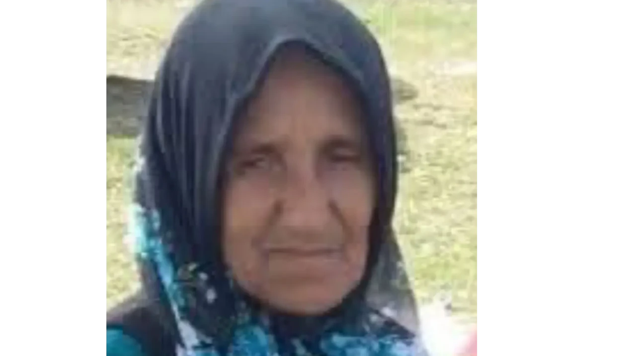 Hafriyat kamyonunun çarptığı kadın hayatını kaybetti