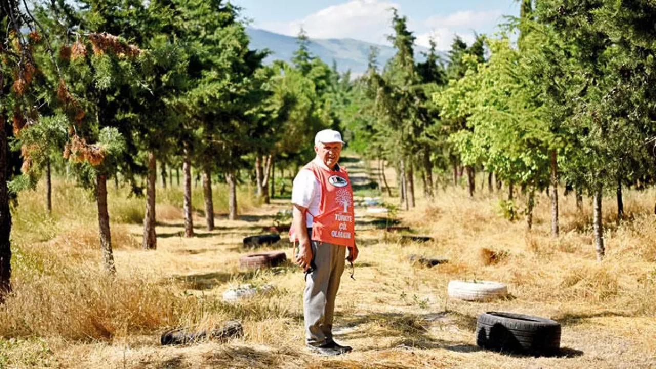 Kadir Acar Duyurdu: Sezen Aksu’dan Pakize Suda İçin 5 Bin Fidanlık Hatıra Ormanı