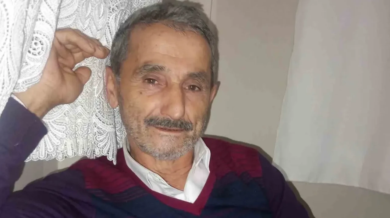 Üzerine ağaç devrilen adam hayatını kaybetti