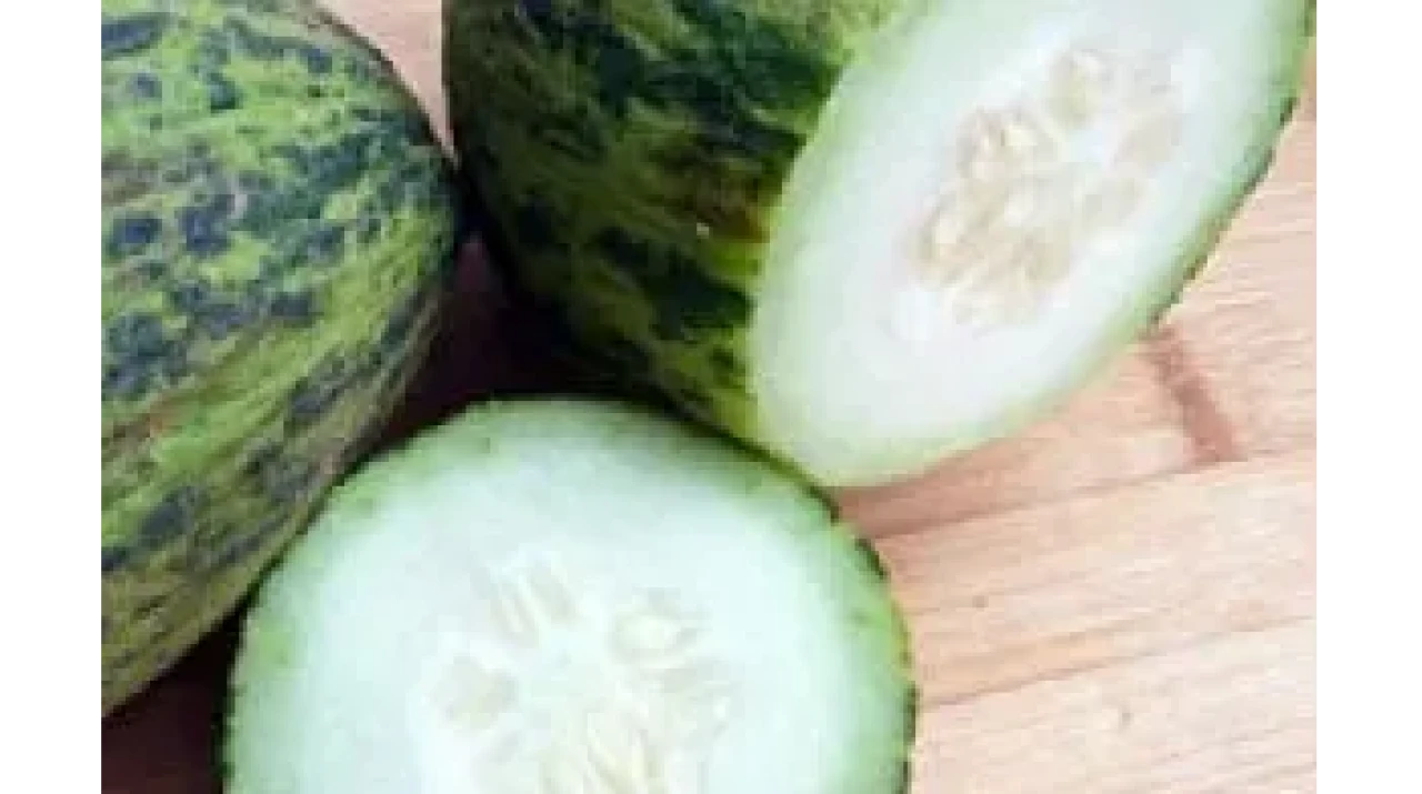 Rüyada Kelek Görmek Ne Anlama Gelir? İşte Rüyanızın Gizemli Mesajları