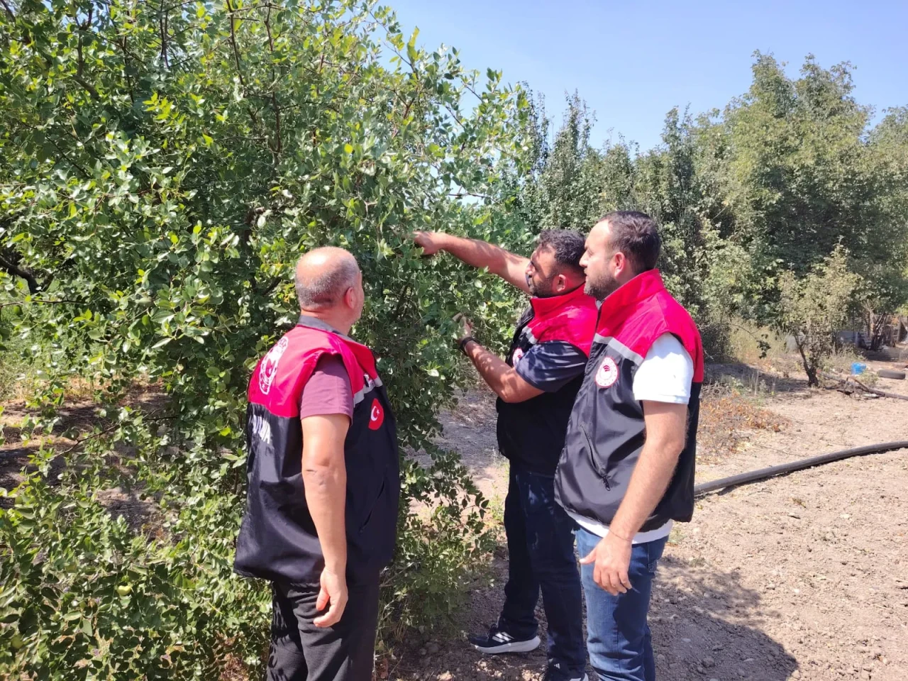 Suluova’da Hünnap Üreticilerine Teknik Destek