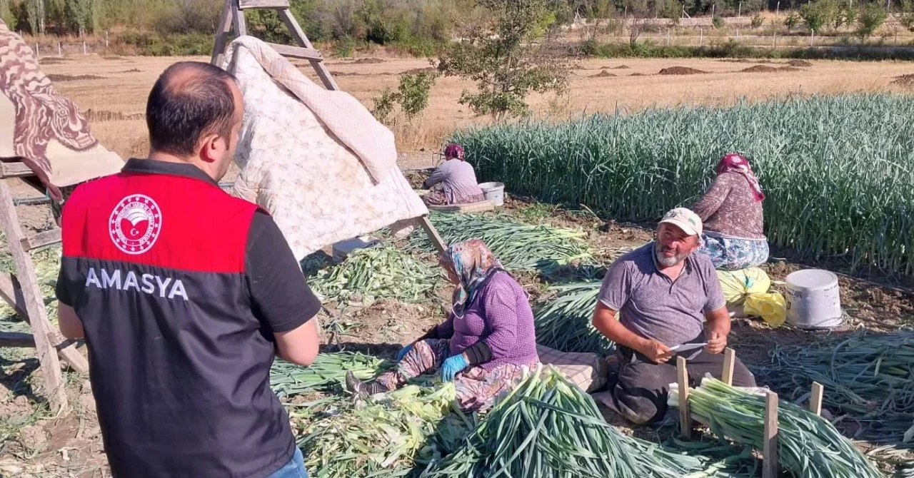 Amasya’da Çiftçilere Tarımsal Destek ve Üretim Planlaması