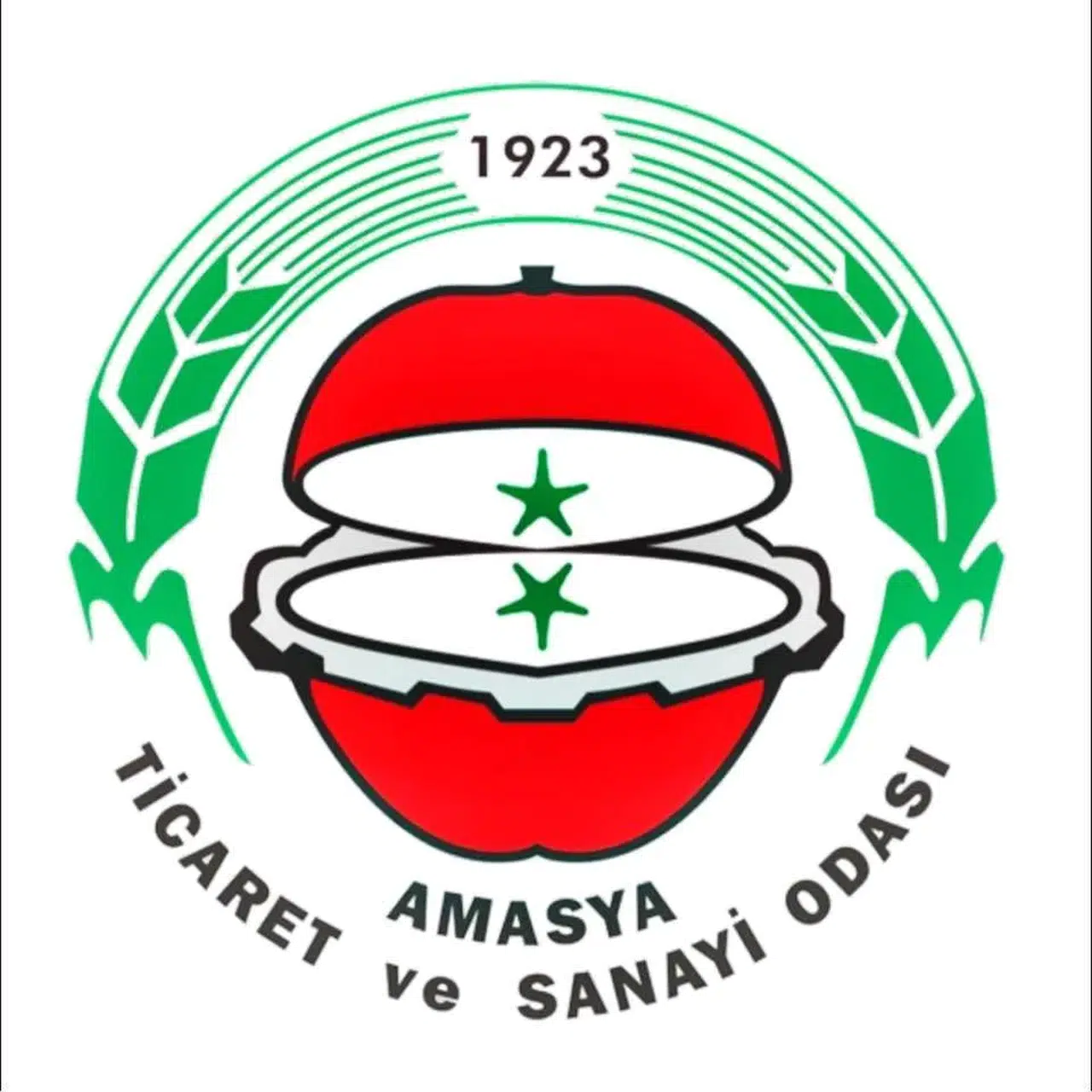 Amasya TSO’da Sandıktan Mavi Liste Önde Çıktı: Gözler Başkanlık Seçiminde