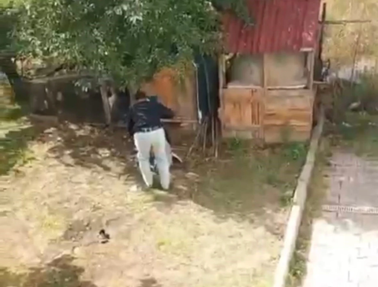 Bir şahıs annesini ve kız kardeşini darbetti