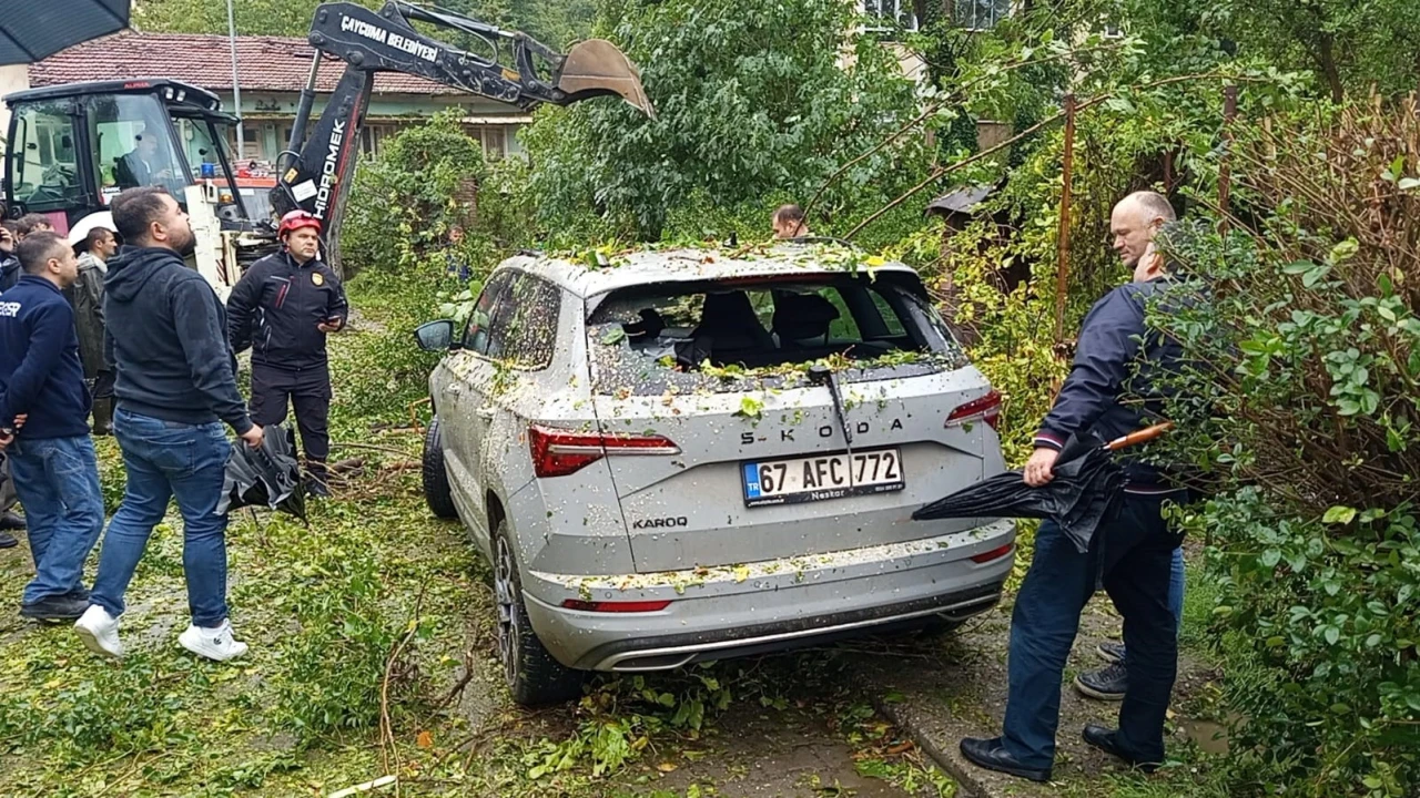 Park halindeki otomobilin üzerine ağaç devrildi