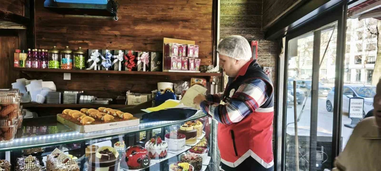 9 ayda 90 işletmeye 11 milyon 644 bin 539 TL ceza