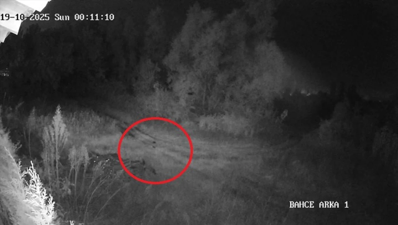 2 haftadır kayıp olan genç ilçede paniğe yol açtı: Vatandaşlar tedirgin