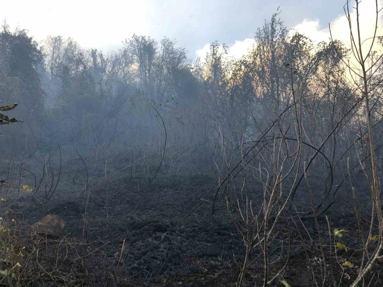 Ziraat alanında çıkan yangın ormana sıçradı