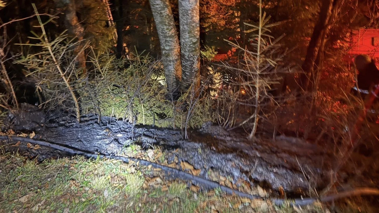 Zirai alanda çıkan yangın kısa sürede söndürüldü