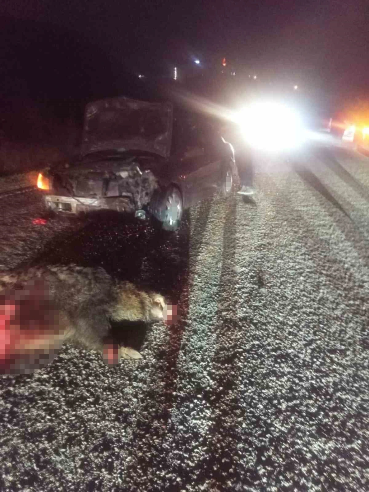 Domuza çarpan otomobil hurdaya döndü: 1 yaralı