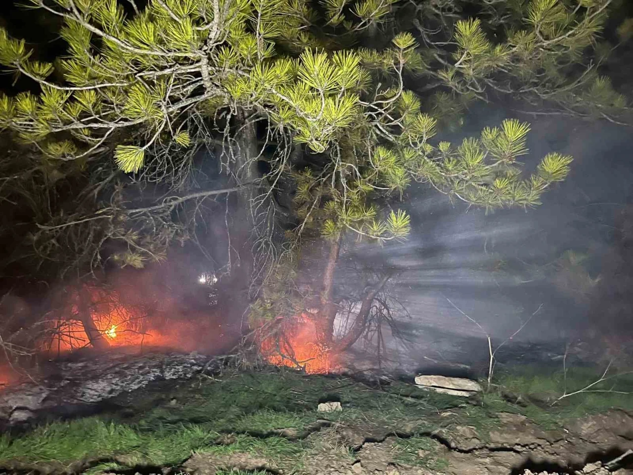 Ormanlık alanda yangın