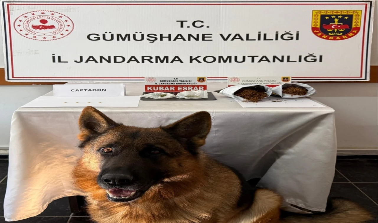 Uyuşturucu operasyonunda 4 kişi yakalandı