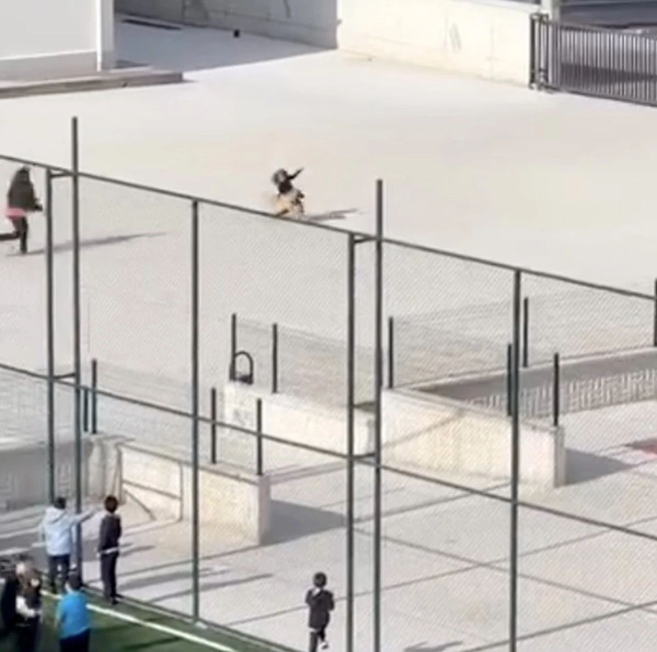 Okul bahçesine giren köpek çocuklara büyük panik yaşattı