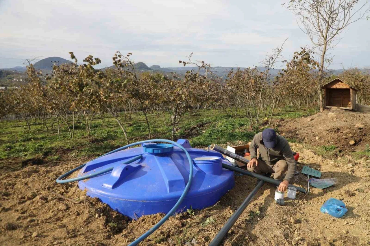 Fındık bahçelerine kuraklık tehlikesine karşı damlama sistemi