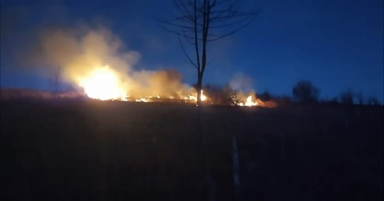 Fındık bahçesinde yangın