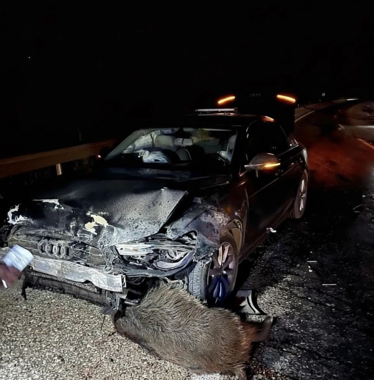 Makam aracı domuz sürüsüne çarptı