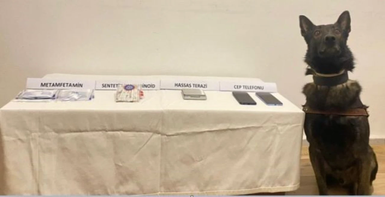 Jandarmadan uyuşturucu operasyonu