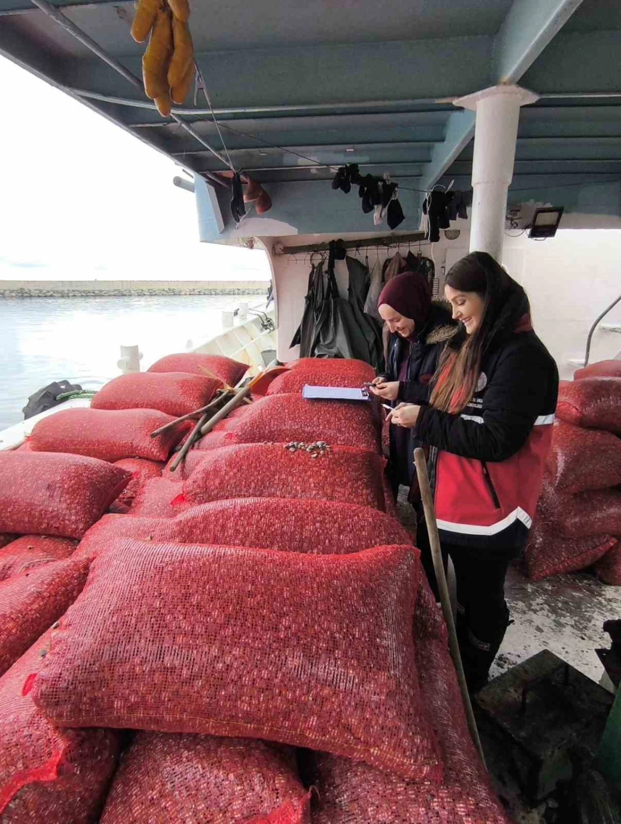 Beyaz kum midyesi denetimi