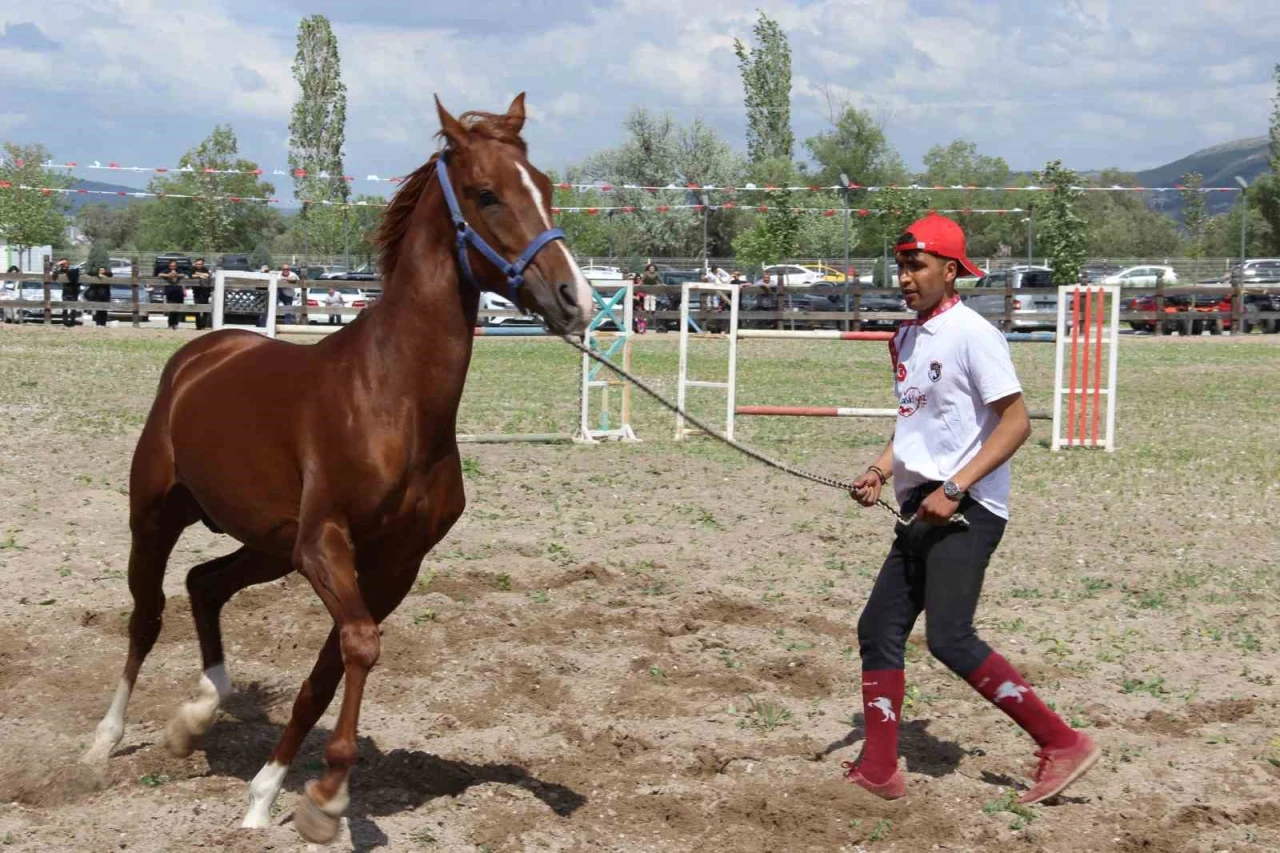 Çorum’da atlar güzellikleriyle yarıştı