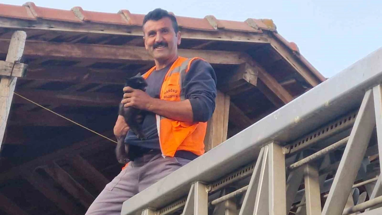 Evin çatısında mahsur kalan kediyi itfaiye ekipleri kurtardı