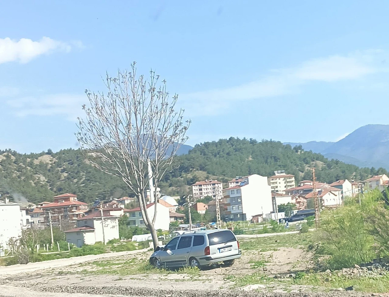 Otomobil ağaca çarptı: 2 yaralı