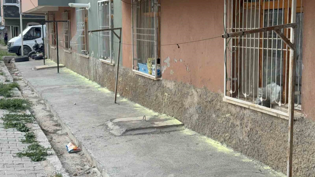 İki kadının "fare kovma" yöntemi apartman sakinlerini hastanelik etti