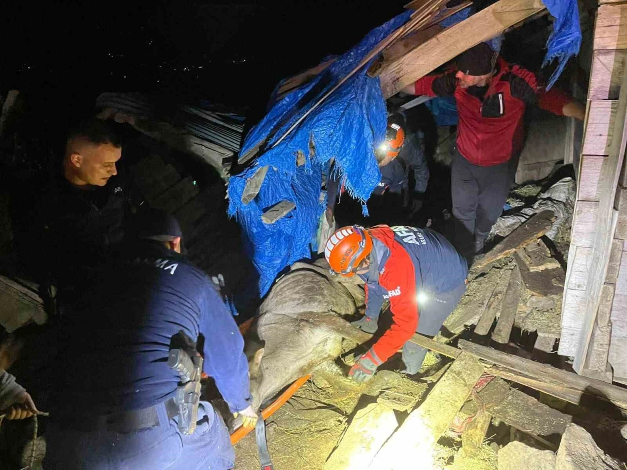Çöken ahırda mahsur kalan 33 büyükbaş hayvan kurtarıldı