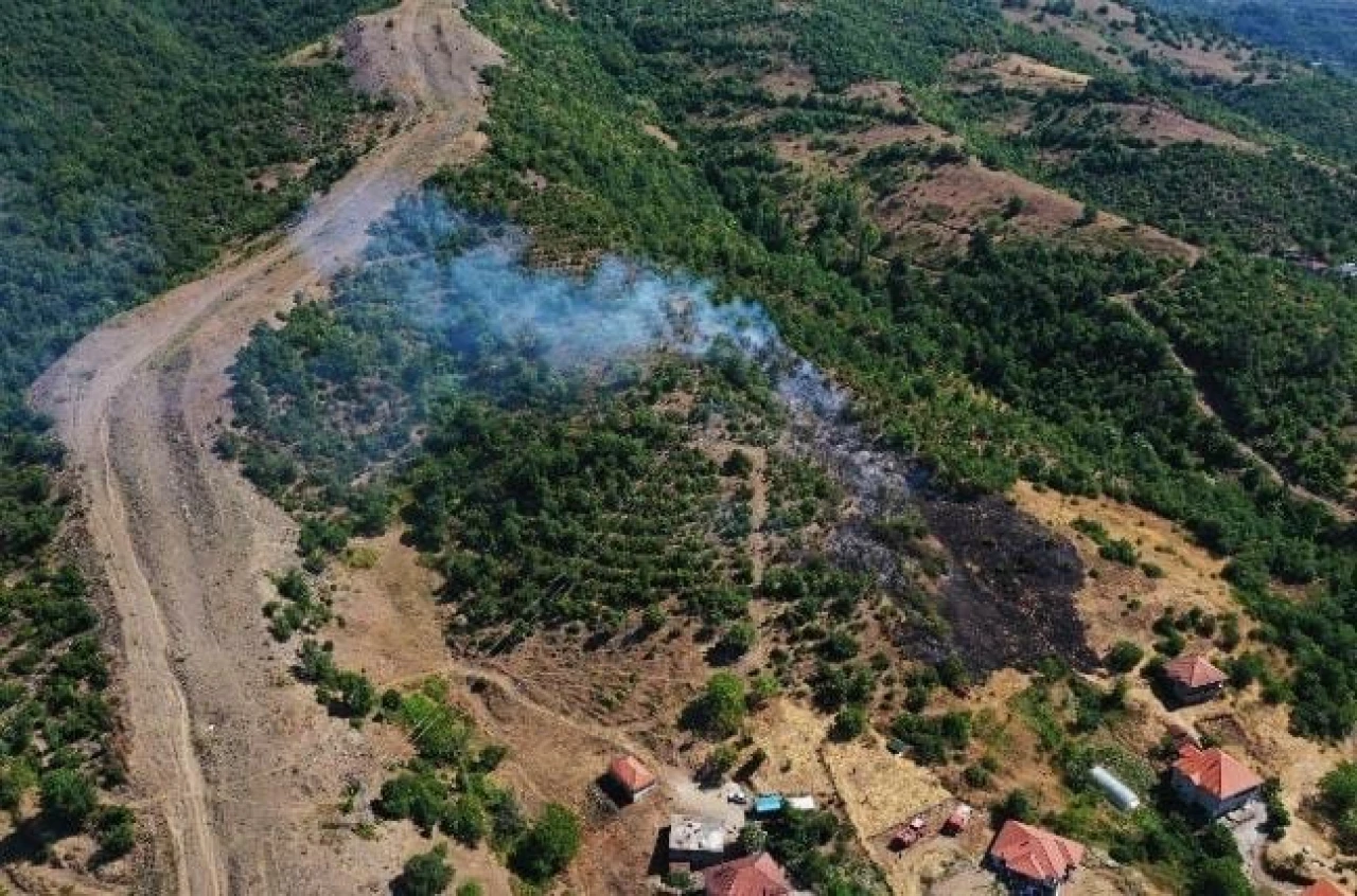 Orman Yangını Paniğe Neden Oldu!