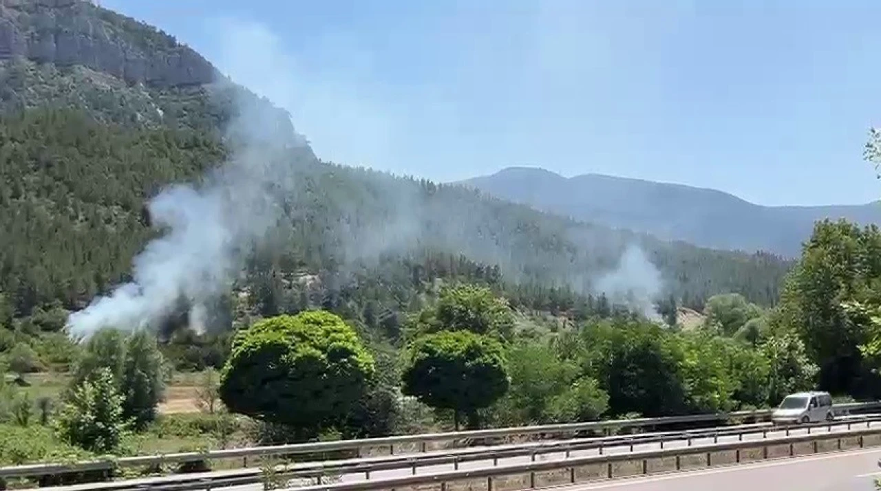 Örtü yangınları büyümeden söndürüldü