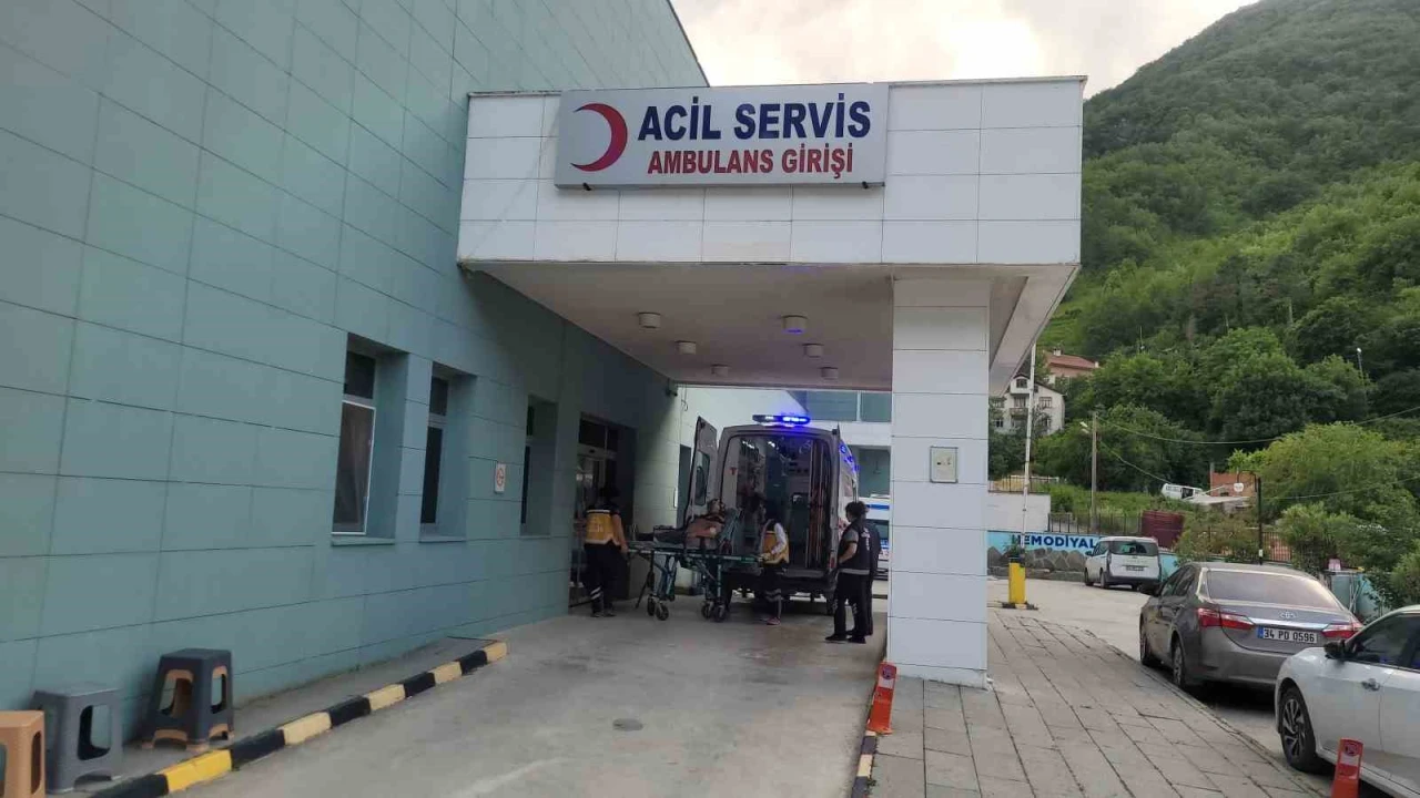 Akrebin soktuğu kadın hastanelik oldu