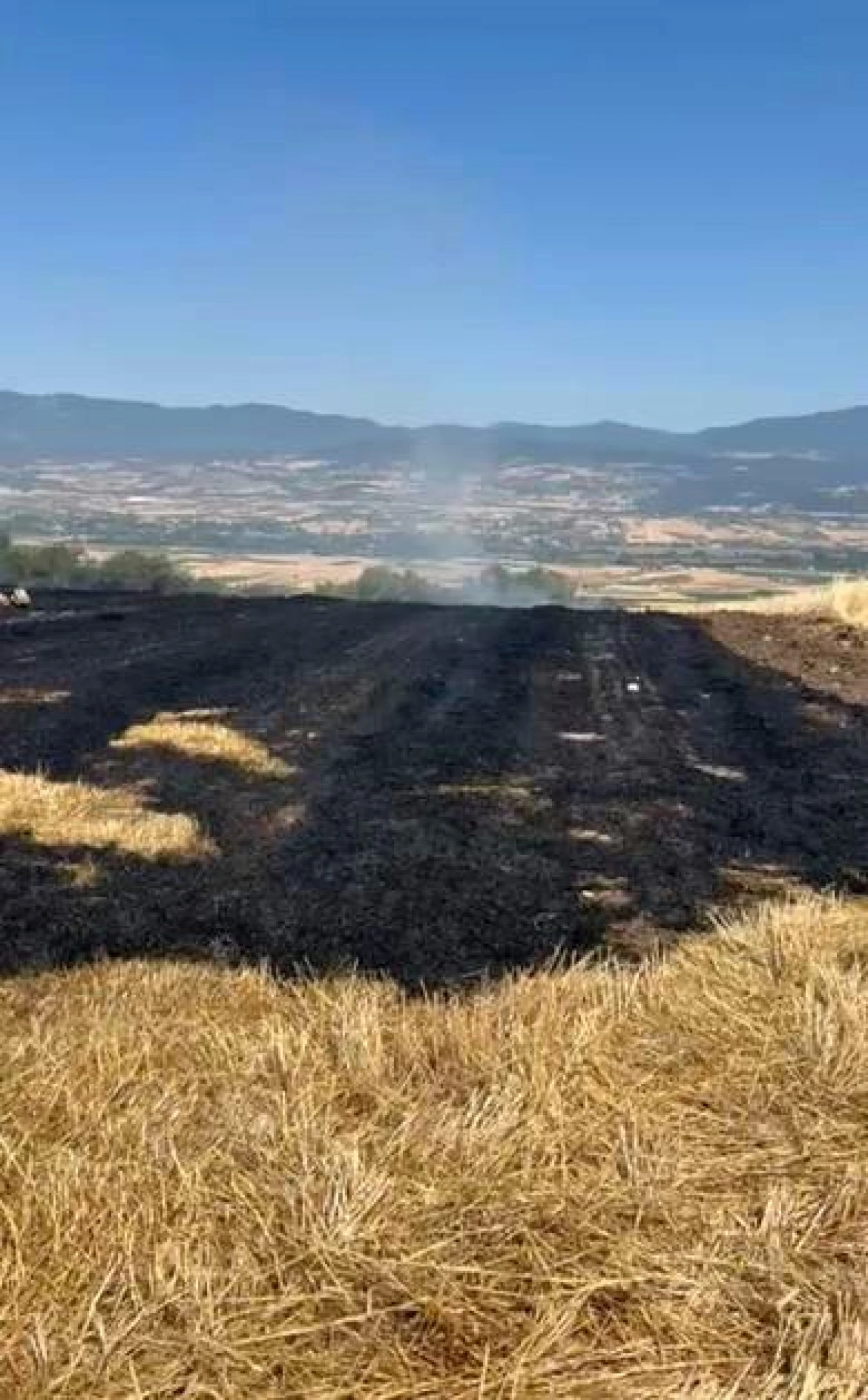 Korkutan anız yangını, evlere sıçramadan söndürüldü