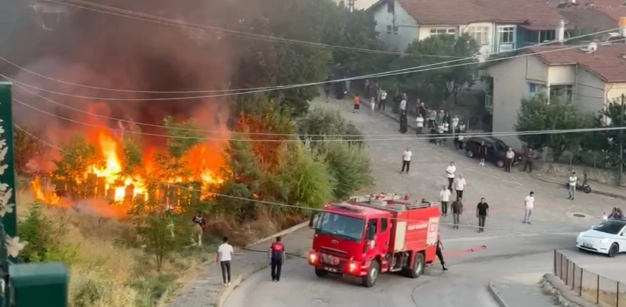 Arı kovanları küle döndü