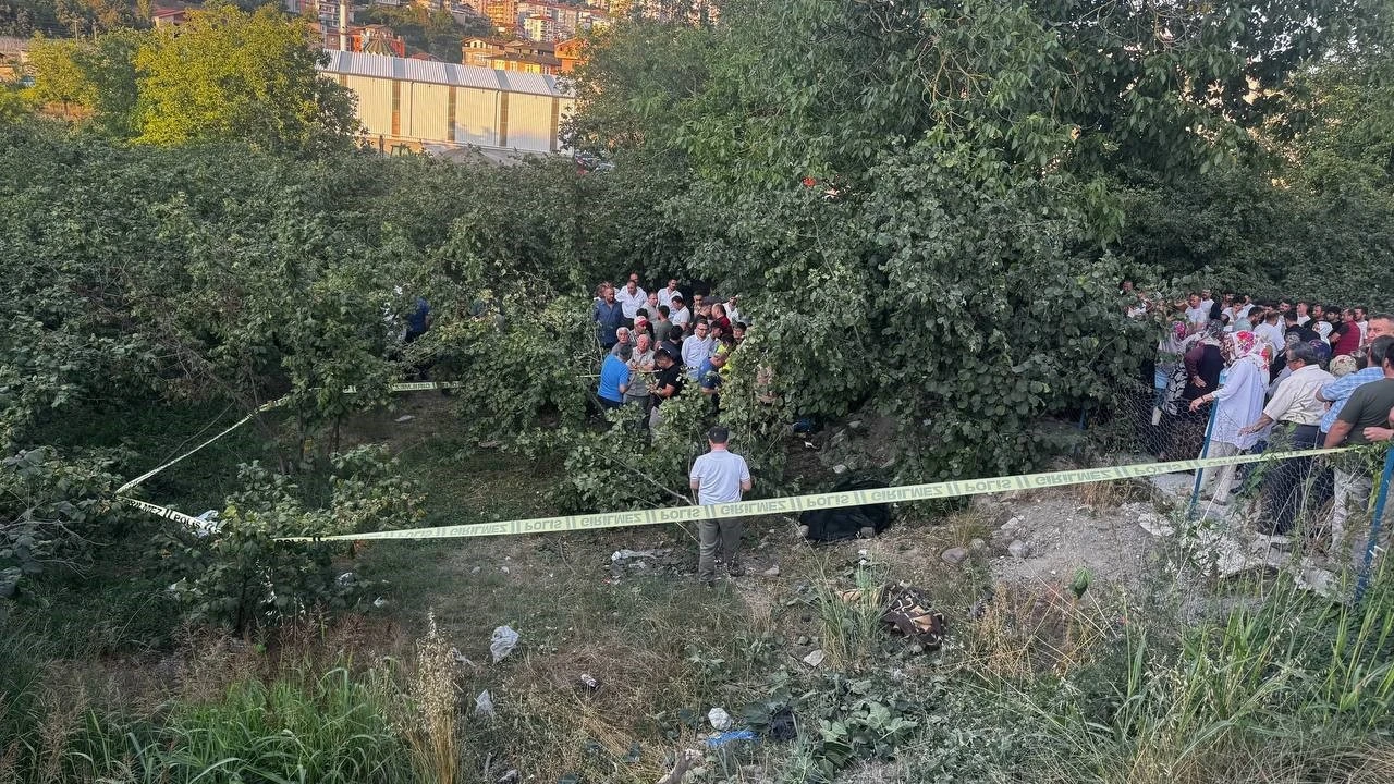 Kamyonet fındık bahçesine uçtu: Araçtan fırlayan sürücü öldü