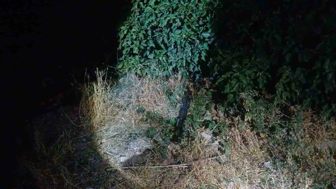 Sokak ortasında silahlı saldırıya uğrayan adam bacağından yaralandı
