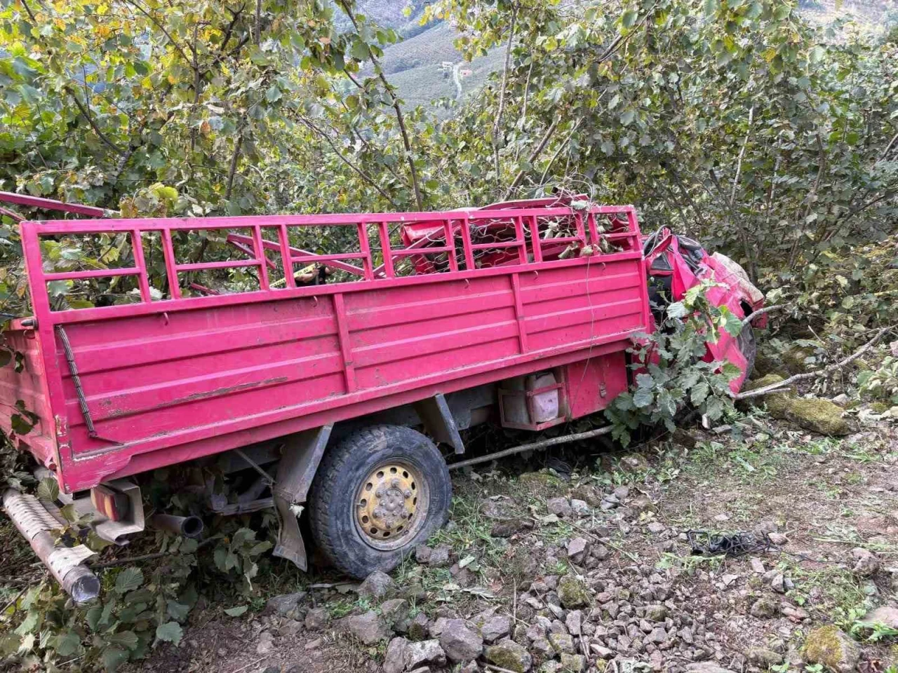 Kamyonet fındık bahçesine yuvarlandı: 4 ölü, 1 yaralı