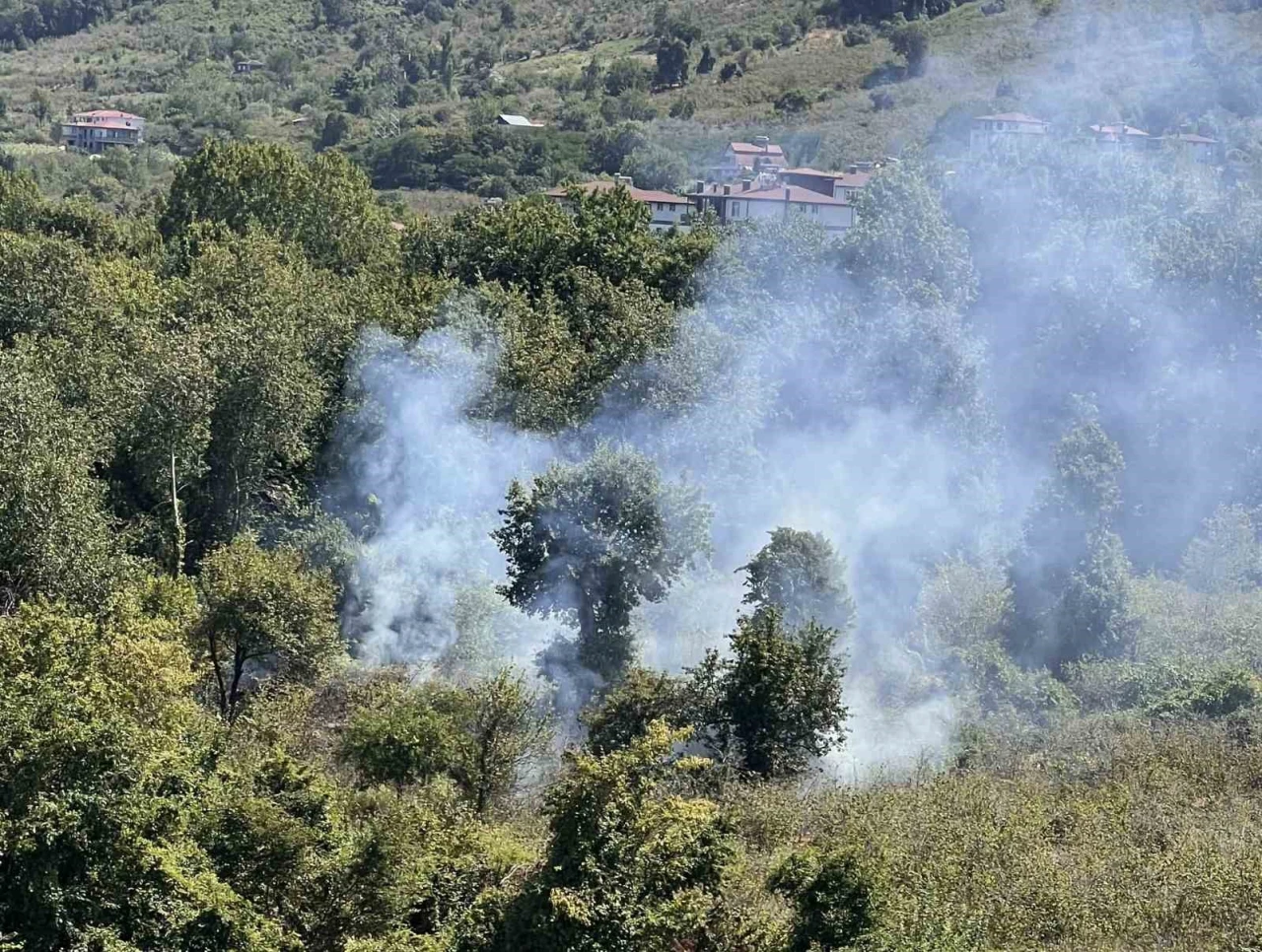 Bahçe temizliği yangına yol açtı