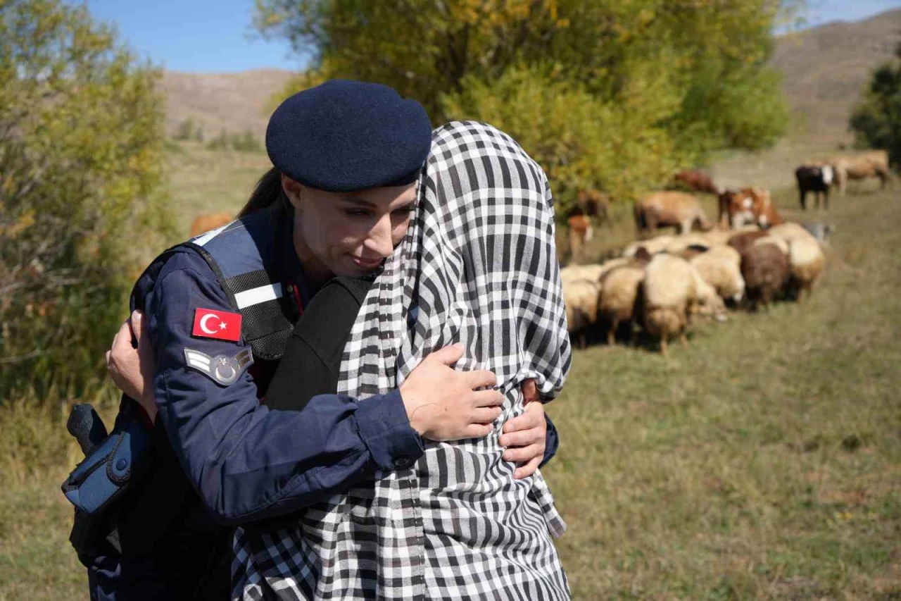 Kaybolan 13 koyun jandarma ekiplerince dağda bulundu