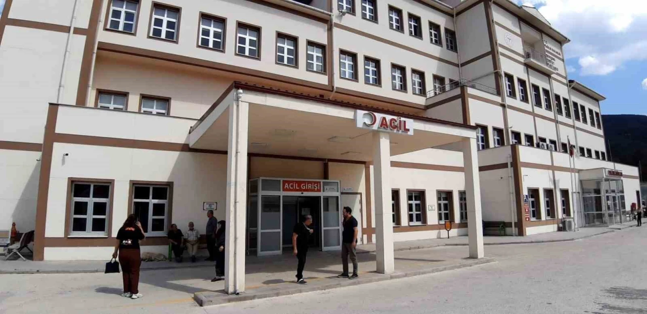 Ayı saldırısında 1 kişi yaralandı: Saldırı sonrası av kararı