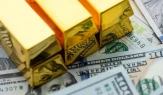 Dolar ve Altında Zirve Günü: 14 Haziran’da Rekor Kırıldı!