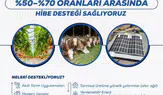 Kırsal Kalkınma Desteklerinde Yeni Dönem Başladı
