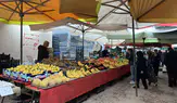 Merzifon Pazarı’nda Tezgahlar Renklendi
