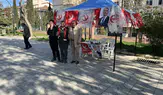 Merzifon’da Filistin İçin “Milli İrade Standı” Açıldı