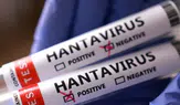 Sağlık Bakanlığı’ndan Hantavirüs Açıklaması!