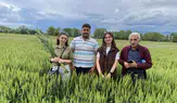 Merzifon’da Tarım Arazileri Yerinde İncelendi
