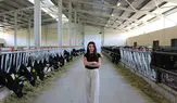 Çorumlu Genç Kadın Mimar Köyüne Süt Üretim Çiftliği Kurdu